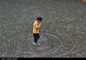 حس زندگی زیر باران...
