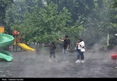 حس زندگی زیر باران...