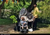 حس زندگی زیر باران...