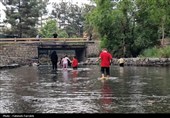 حس زندگی زیر باران...