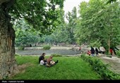 حس زندگی زیر باران...