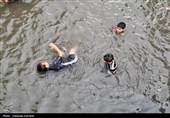 حس زندگی زیر باران...