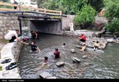 حس زندگی زیر باران...