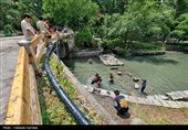 حس زندگی زیر باران...