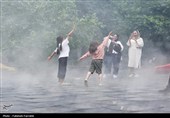 حس زندگی زیر باران...