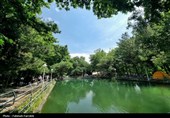 حس زندگی زیر باران...