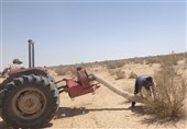 ملخ‌های بومی برای تولید خوراک طیور و آبزیان جارو می‌شوند