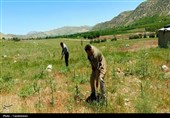 مقابله با زمین‌خواری؛ 124 هزار متر مربع اراضی ملی آزاد شد