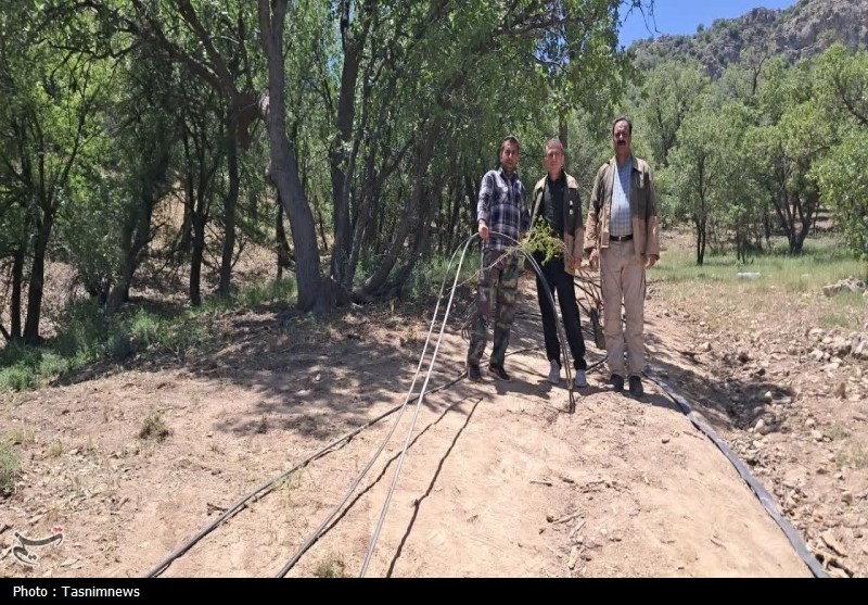سازمان منابع طبیعی ,
