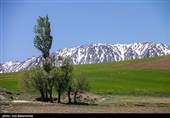 عشایر بختیاری در شهرستان الیگودرز