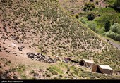 عشایر بختیاری در شهرستان الیگودرز