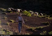 عشایر بختیاری در شهرستان الیگودرز