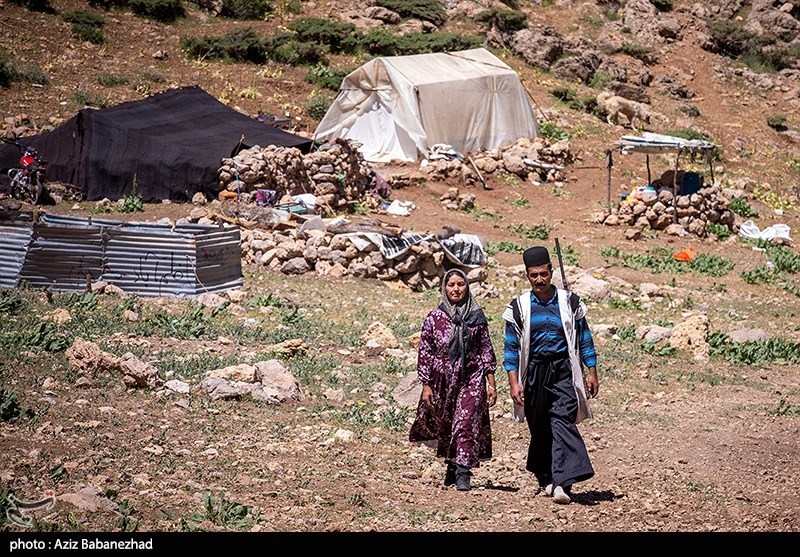  در این قاب‌ها، زندگی با تقسیم کاری نانوشته اما موازی جریان دارد؛ جایی که مردان مظهر استقامت کوهستان‌اند و زنان، فراتر از نقش‌های سنتی خانه، دوشادوش آن‌ها بار سنگین امورات ایل را به دوش می‌کشند.