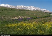 عشایر بختیاری در شهرستان الیگودرز