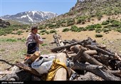 عشایر بختیاری در شهرستان الیگودرز