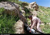 عشایر بختیاری در شهرستان الیگودرز