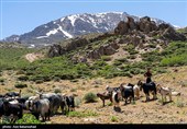 عشایر بختیاری در شهرستان الیگودرز