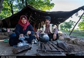  در این قاب‌ها، زندگی با تقسیم کاری نانوشته اما موازی جریان دارد؛ جایی که مردان مظهر استقامت کوهستان‌اند و زنان، فراتر از نقش‌های سنتی خانه، دوشادوش آن‌ها بار سنگین امورات ایل را به دوش می‌کشند.