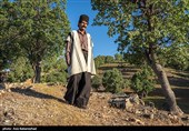 عشایر بختیاری در شهرستان الیگودرز