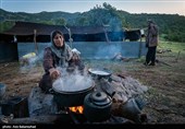 عکس‌های پیش رو، علاوه بر ثبت آداب و رسوم اصیل این طوایف، به تصویر کشیدن نقشی است که زنان ایفا می‌کنند؛ شیرزنانی که مرزهای مرسوم خانه‌داری را جابه‌جا کرده و در تمام امورات سختِ بیرون از چادر، پا به پای مردان ایستاده‌اند تا اصالت و پویایی ایل در این جغرافیای خشن حفظ شود.