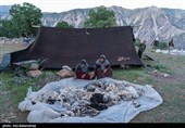 عکس‌های پیش رو، علاوه بر ثبت آداب و رسوم اصیل این طوایف، به تصویر کشیدن نقشی است که زنان ایفا می‌کنند؛ شیرزنانی که مرزهای مرسوم خانه‌داری را جابه‌جا کرده و در تمام امورات سختِ بیرون از چادر، پا به پای مردان ایستاده‌اند تا اصالت و پویایی ایل در این جغرافیای خشن حفظ شود.