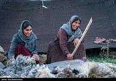 عکس‌های پیش رو، علاوه بر ثبت آداب و رسوم اصیل این طوایف، به تصویر کشیدن نقشی است که زنان ایفا می‌کنند؛ شیرزنانی که مرزهای مرسوم خانه‌داری را جابه‌جا کرده و در تمام امورات سختِ بیرون از چادر، پا به پای مردان ایستاده‌اند تا اصالت و پویایی ایل در این جغرافیای خشن حفظ شود.