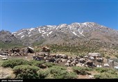 عشایر بختیاری در شهرستان الیگودرز