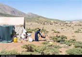 عکس‌های پیش رو، علاوه بر ثبت آداب و رسوم اصیل این طوایف، به تصویر کشیدن نقشی است که زنان ایفا می‌کنند؛ شیرزنانی که مرزهای مرسوم خانه‌داری را جابه‌جا کرده و در تمام امورات سختِ بیرون از چادر، پا به پای مردان ایستاده‌اند تا اصالت و پویایی ایل در این جغرافیای خشن حفظ شود.