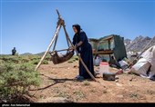 عکس‌های پیش رو، علاوه بر ثبت آداب و رسوم اصیل این طوایف، به تصویر کشیدن نقشی است که زنان ایفا می‌کنند؛ شیرزنانی که مرزهای مرسوم خانه‌داری را جابه‌جا کرده و در تمام امورات سختِ بیرون از چادر، پا به پای مردان ایستاده‌اند تا اصالت و پویایی ایل در این جغرافیای خشن حفظ شود.