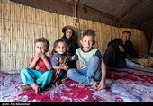  در این قاب‌ها، زندگی با تقسیم کاری نانوشته اما موازی جریان دارد؛ جایی که مردان مظهر استقامت کوهستان‌اند و زنان، فراتر از نقش‌های سنتی خانه، دوشادوش آن‌ها بار سنگین امورات ایل را به دوش می‌کشند.