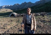  در این قاب‌ها، زندگی با تقسیم کاری نانوشته اما موازی جریان دارد؛ جایی که مردان مظهر استقامت کوهستان‌اند و زنان، فراتر از نقش‌های سنتی خانه، دوشادوش آن‌ها بار سنگین امورات ایل را به دوش می‌کشند.