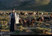عشایر بختیاری در شهرستان الیگودرز