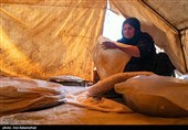 عکس‌های پیش رو، علاوه بر ثبت آداب و رسوم اصیل این طوایف، به تصویر کشیدن نقشی است که زنان ایفا می‌کنند؛ شیرزنانی که مرزهای مرسوم خانه‌داری را جابه‌جا کرده و در تمام امورات سختِ بیرون از چادر، پا به پای مردان ایستاده‌اند تا اصالت و پویایی ایل در این جغرافیای خشن حفظ شود.