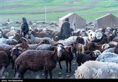 عشایر بختیاری در شهرستان الیگودرز