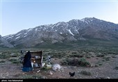 عشایر بختیاری در شهرستان الیگودرز