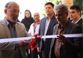 «ایستاده در غبار»؛ نمایش مظلومیت میراث ایران در بیرجند
