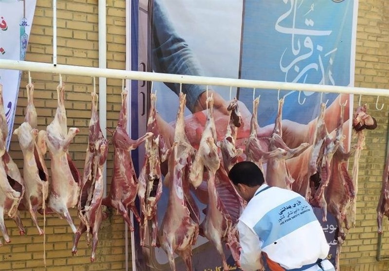 شیرخوارگاه آمنه میزبان نذورات و قربانی‌های مردمی در عید قربان