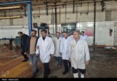 بازدید مقام‌های قضائی و دامپزشکی اردبیل از مجتمع گوشت در آستانه عید قربان
