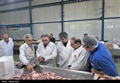 بازدید مقام‌های قضائی و دامپزشکی اردبیل از مجتمع گوشت در آستانه عید قربان