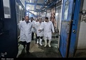 بازدید مقام‌های قضائی و دامپزشکی اردبیل از مجتمع گوشت در آستانه عید قربان