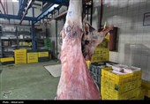 بازدید مقام‌های قضائی و دامپزشکی اردبیل از مجتمع گوشت در آستانه عید قربان