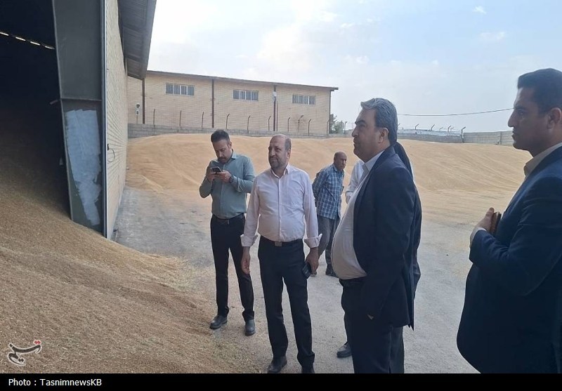 اخبار کهگیلویه , کشاورزی ,