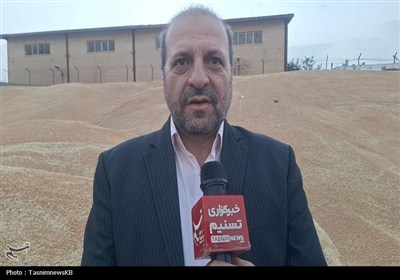 رونق برداشت گندم در کهگیلویه و کام‌تلخ کشاورزان از میزان سهمیه خرید