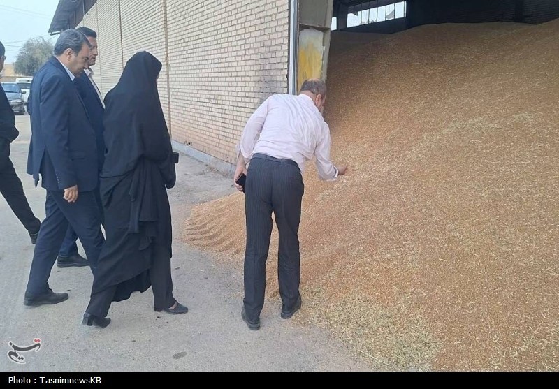 اخبار کهگیلویه , کشاورزی ,