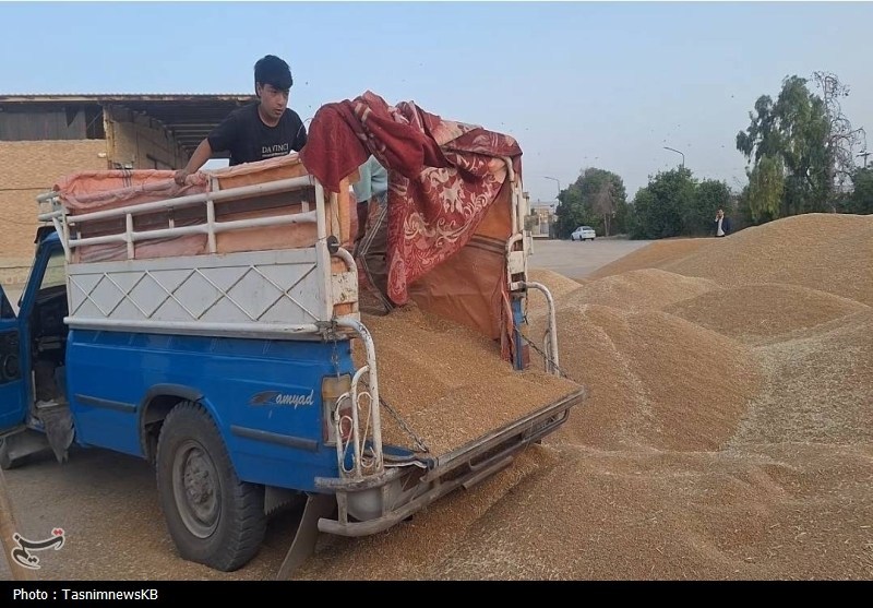 اخبار کهگیلویه , کشاورزی ,