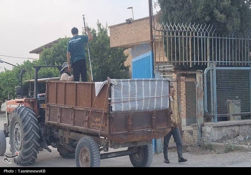 اخبار کهگیلویه , کشاورزی ,