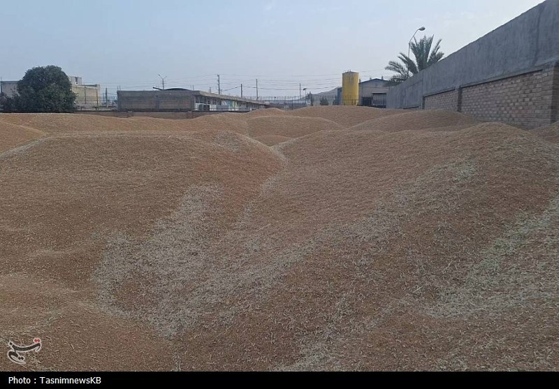 اخبار کهگیلویه , کشاورزی ,