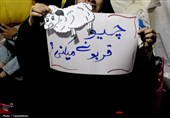 هشتاد و هفتمین اجتماع ماهدشت به یاد شهید امیرطاها محمدی