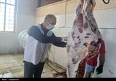 گشت مشترک عید قربان در ری با محوریت نظارت بر عرضه و ذبح دام