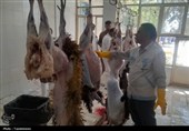 گشت مشترک عید قربان در ری با محوریت نظارت بر عرضه و ذبح دام